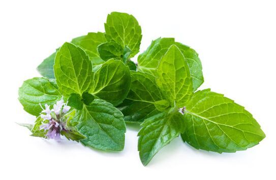Foglie di menta nel valore spray zxcvbnmq
