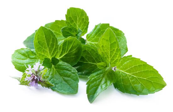 Foglie di menta nello spray Nicode