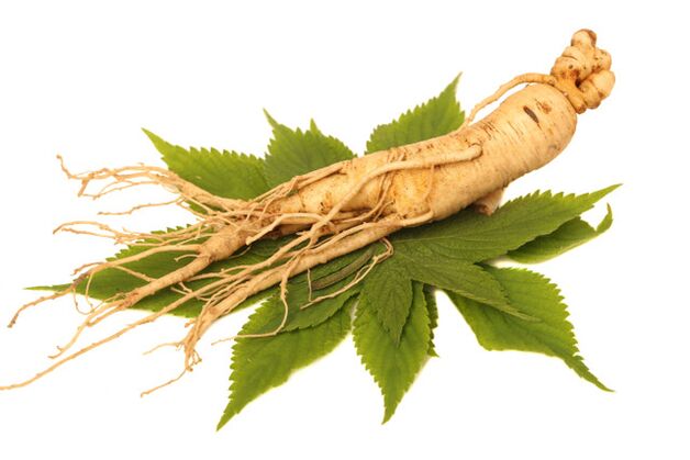 Radice di ginseng nel valore spray zxcvbnmq