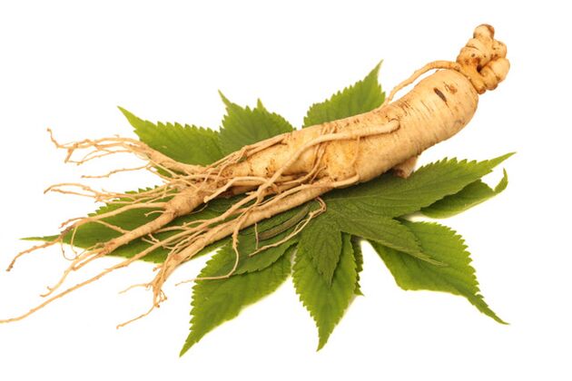 Radice di ginseng nello spray Nicode